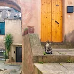 Rivierarent L'orizzonte *